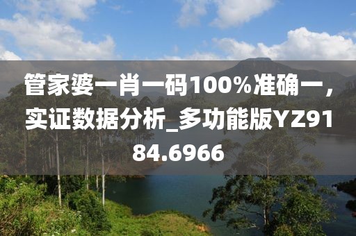 管家婆一肖一碼100%準確一，實證數(shù)據(jù)分析_多功能版YZ9184.6966