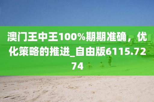 澳門王中王100%期期準確，優(yōu)化策略的推進_自由版6115.7274