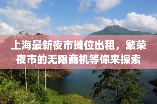 上海最新夜市攤位出租，繁榮夜市的無(wú)限商機(jī)等你來(lái)探索