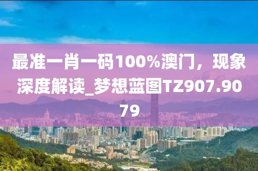 最準一肖一碼100%澳門，現(xiàn)象深度解讀_夢想藍圖TZ907.9079