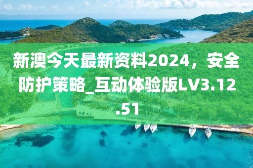 新澳今天最新資料2024，安全防護(hù)策略_互動(dòng)體驗(yàn)版LV3.12.51