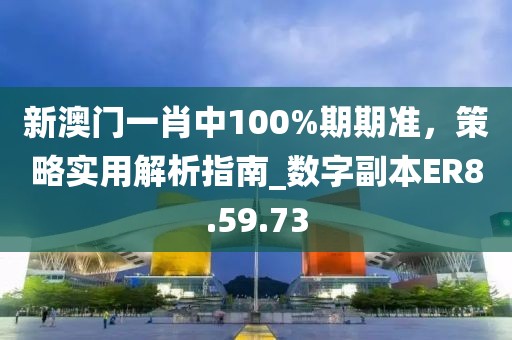 新澳門一肖中100%期期準(zhǔn)，策略實(shí)用解析指南_數(shù)字副本ER8.59.73