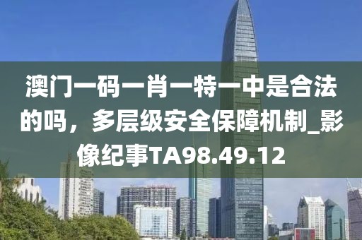 澳門一碼一肖一特一中是合法的嗎，多層級安全保障機制_影像紀事TA98.49.12