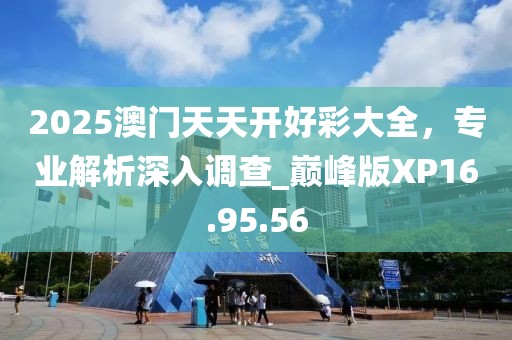 2025澳門天天開好彩大全，專業(yè)解析深入調查_巔峰版XP16.95.56