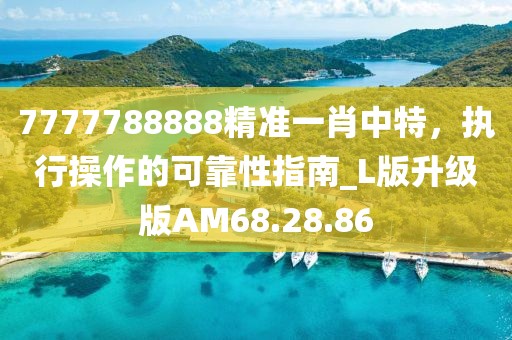 7777788888精準(zhǔn)一肖中特，執(zhí)行操作的可靠性指南_L版升級(jí)版AM68.28.86