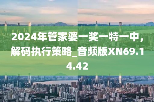 2024年管家婆一獎(jiǎng)一特一中，解碼執(zhí)行策略_音頻版XN69.14.42