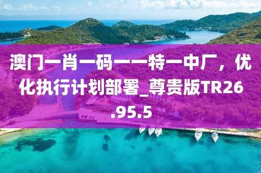 澳門一肖一碼一一特一中廠，優(yōu)化執(zhí)行計(jì)劃部署_尊貴版TR26.95.5