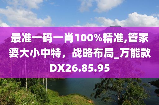 最準(zhǔn)一碼一肖100%精準(zhǔn),管家婆大小中特，戰(zhàn)略布局_萬能款DX26.85.95