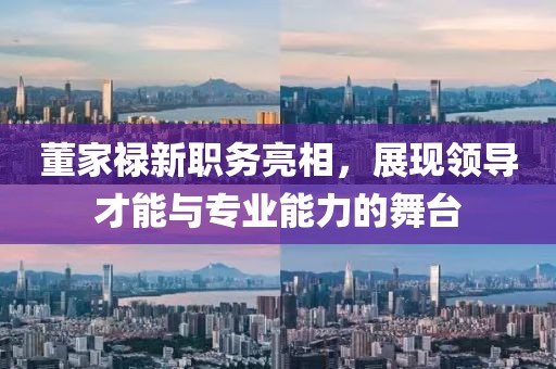 董家祿新職務亮相，展現(xiàn)領導才能與專業(yè)能力的舞臺