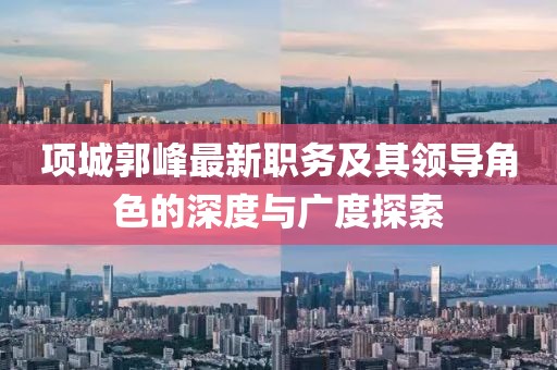 項城郭峰最新職務及其領導角色的深度與廣度探索