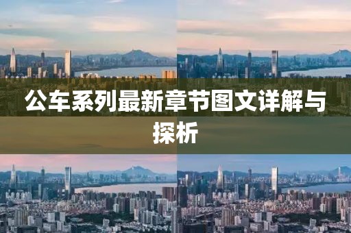 公車系列最新章節(jié)圖文詳解與探析