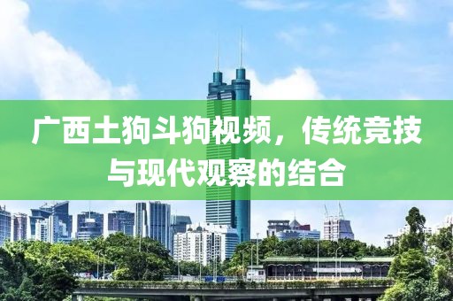 廣西土狗斗狗視頻，傳統(tǒng)競技與現(xiàn)代觀察的結(jié)合