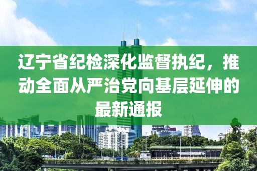 遼寧省紀(jì)檢深化監(jiān)督執(zhí)紀(jì)，推動全面從嚴(yán)治黨向基層延伸的最新通報