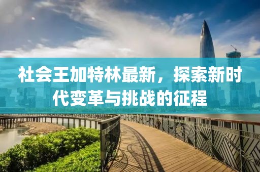 社會王加特林最新，探索新時代變革與挑戰(zhàn)的征程
