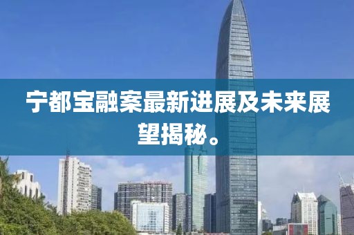 寧都寶融案最新進(jìn)展及未來(lái)展望揭秘。