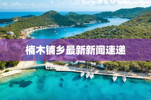 楠木鋪鄉(xiāng)最新新聞速遞