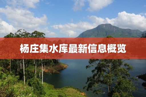 楊莊集水庫最新信息概覽
