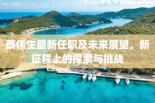 蔡偉生最新任職及未來展望，新征程上的探索與挑戰(zhàn)
