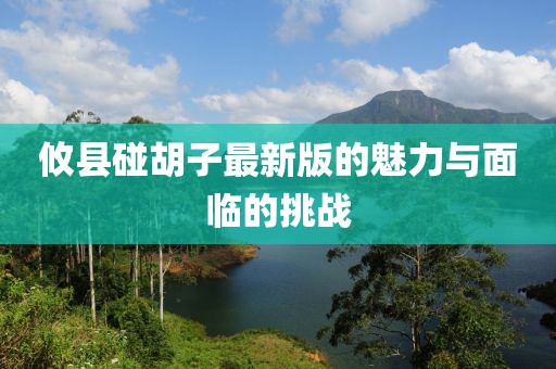 攸縣碰胡子最新版的魅力與面臨的挑戰(zhàn)