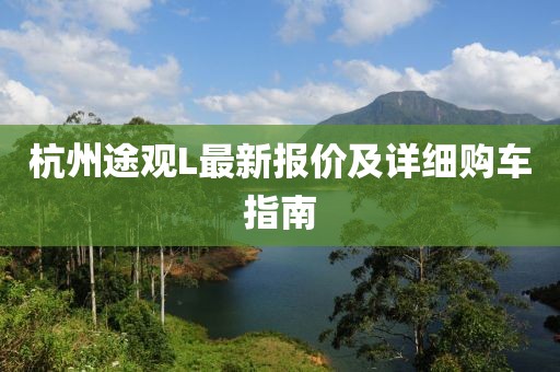 杭州途觀L最新報價及詳細購車指南