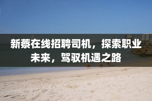 新蔡在線招聘司機(jī)，探索職業(yè)未來，駕馭機(jī)遇之路