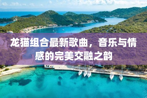 龍貓組合最新歌曲，音樂(lè)與情感的完美交融之韻