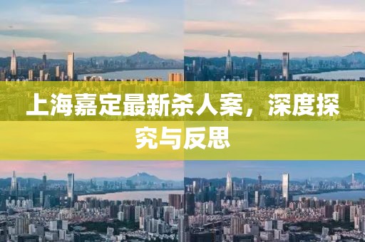 上海嘉定最新殺人案，深度探究與反思