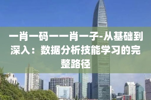 一肖一碼一一肖一子-從基礎(chǔ)到深入：數(shù)據(jù)分析技能學(xué)習(xí)的完整路徑