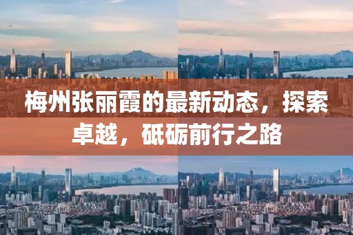 梅州張麗霞的最新動態(tài)，探索卓越，砥礪前行之路