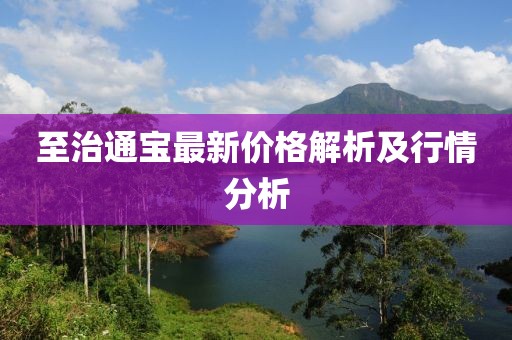 至治通寶最新價(jià)格解析及行情分析