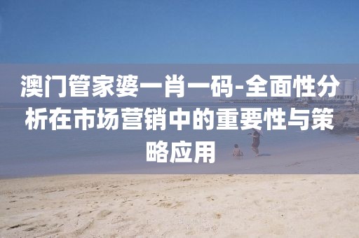 澳門管家婆一肖一碼-全面性分析在市場營銷中的重要性與策略應用
