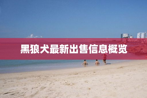 黑狼犬最新出售信息概覽