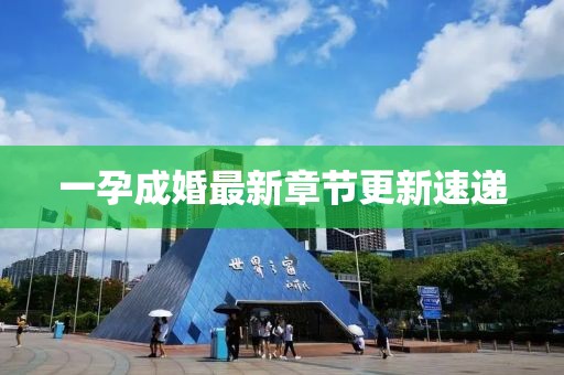 一孕成婚最新章節(jié)更新速遞