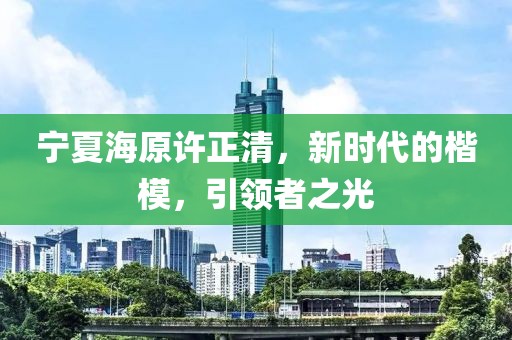 寧夏海原許正清，新時(shí)代的楷模，引領(lǐng)者之光