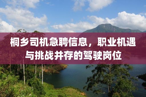 桐鄉(xiāng)司機急聘信息，職業(yè)機遇與挑戰(zhàn)并存的駕駛崗位