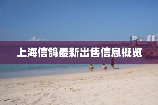 上海信鴿最新出售信息概覽