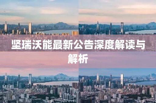 堅瑞沃能最新公告深度解讀與解析