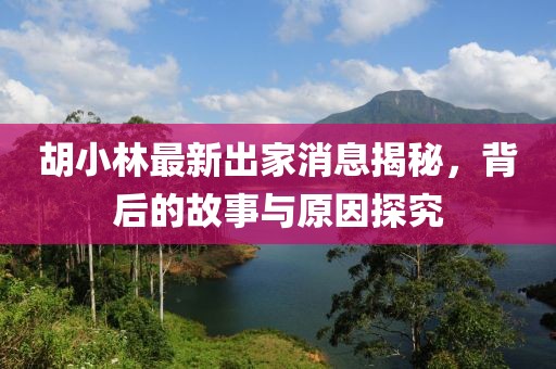 胡小林最新出家消息揭秘，背后的故事與原因探究