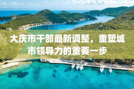 大慶市干部最新調整，重塑城市領導力的重要一步