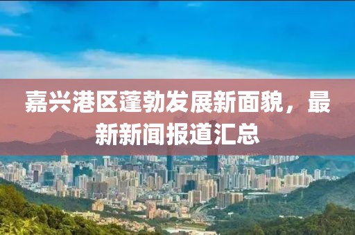 嘉興港區(qū)蓬勃發(fā)展新面貌，最新新聞報道匯總