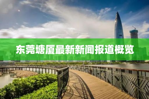 東莞塘廈最新新聞報道概覽