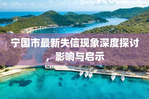 寧國(guó)市最新失信現(xiàn)象深度探討，影響與啟示