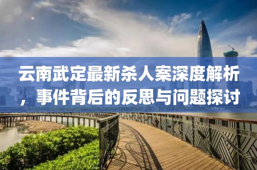 云南武定最新殺人案深度解析，事件背后的反思與問題探討