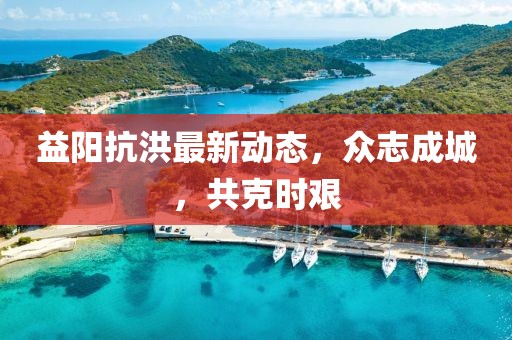 益陽抗洪最新動態(tài)，眾志成城，共克時艱