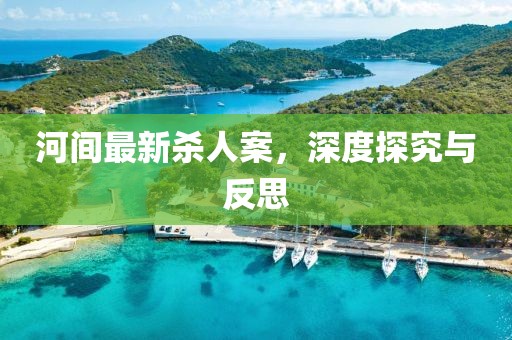 河間最新殺人案，深度探究與反思