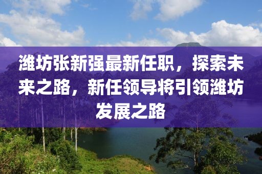 濰坊張新強最新任職，探索未來之路，新任領(lǐng)導(dǎo)將引領(lǐng)濰坊發(fā)展之路