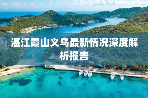 湛江霞山義烏最新情況深度解析報告