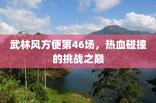 武林風(fēng)方便第46場，熱血碰撞的挑戰(zhàn)之巔