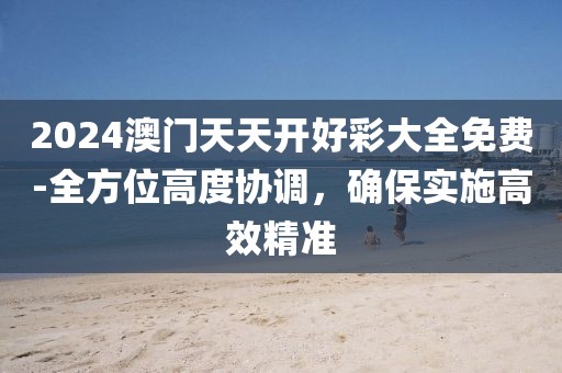 2024澳門天天開好彩大全免費(fèi)-全方位高度協(xié)調(diào)，確保實(shí)施高效精準(zhǔn)