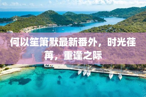 何以笙簫默最新番外，時(shí)光荏苒，重逢之際